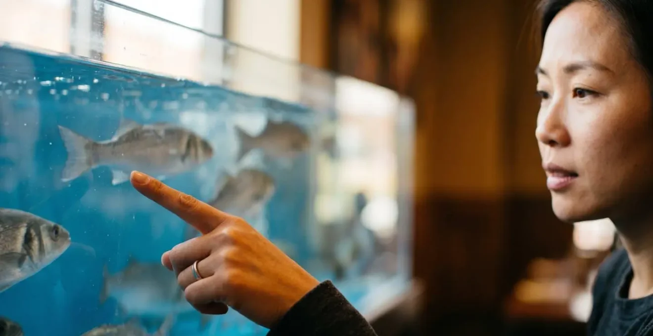 Human hands gesturing toward swimming fish in restaurant tank, close-up with emotional engagement and shallow depth of field