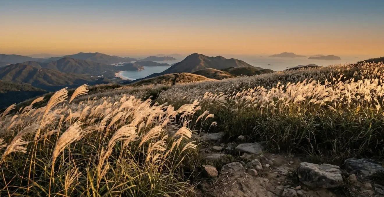 Golden silvergrass plumes swaying across mountain ridge with ocean horizon backdrop during late afternoon